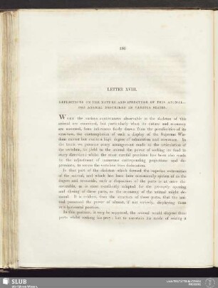 Letter XVIII. Reflections on the nature and structure of this animal ... The animal described in various states