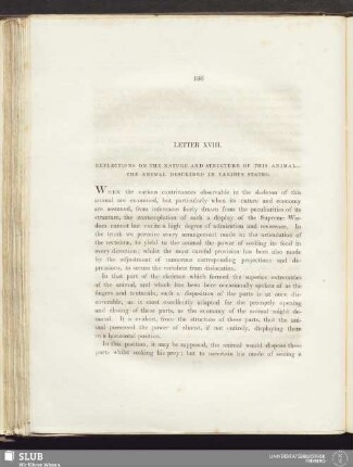 Letter XVIII. Reflections on the nature and structure of this animal ... The animal described in various states