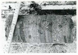 Freital-Zauckerode. Paul-Berndt-Grube (ehemaliger Königin-Carola-Schacht). Bohrung F 6 (6,0-71,0 m). Bohrkern; feinkörnige bis grobkörnige Arkose (grau) mit Arkosegeröll