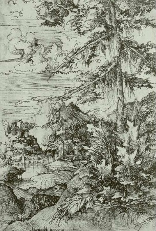 Gebirgslandschaft