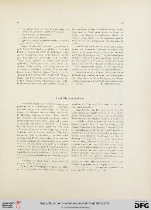 4.1901: Zwei Fluchinschriften