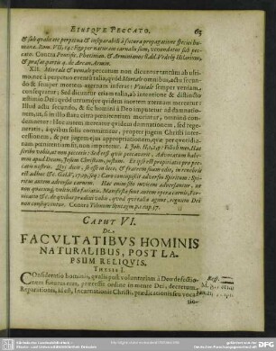 Caput VI. De Facultatibus Hominis Naturalibus, Post Lapsum Reliquis