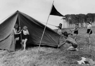 Falken-Zeltlager Eckernförde. Jugendliche beim Aufbau eines Zeltes. Aufgenommen 1949