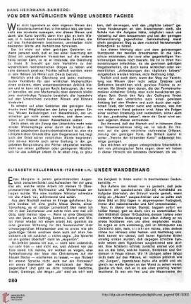N.F. 11.1931: Unser Wandbehang