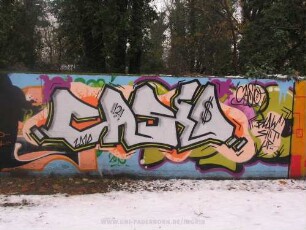 'CASiO"