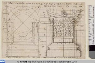 Grundriss von Kapitell und Basis einer korinthischen Säule