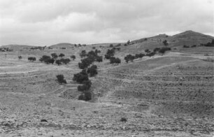 Schichtstufen bei Yafran (Libyen-Reise 1938)