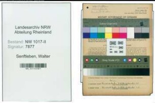 Entnazifizierung Walter Senftleben , geb. 08.03.1888 (Werkzeugfabrikant)
