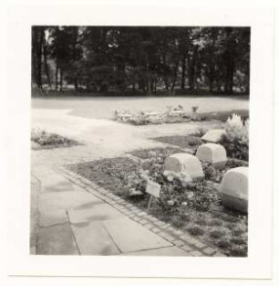 Bundesgartenschau 1955, Kassel: Musterfriedhof