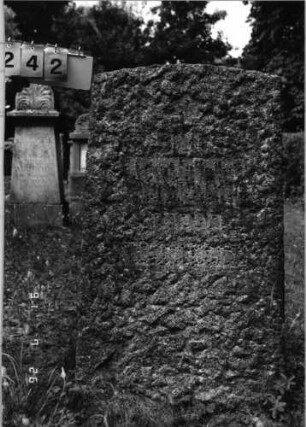 Grabstein 242