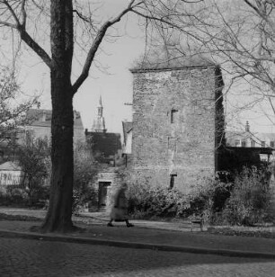 Freiberg. Stadtmauer mit Turm