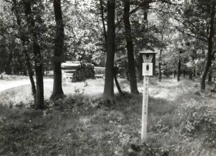Niederung der Schwarzen Elster bei Falkenberg. NSG Schweinert (Schutzgebiet für Rest eines naturnahen Heidewaldes). Tafeln für Natur- und Bodendenkmalschutz und Holzstapel am Rande des NSG