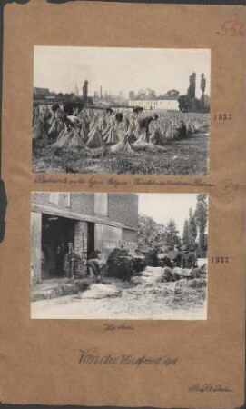 Flachsernte an der Lys in Belgien: Bündeln des trockenen Flachses