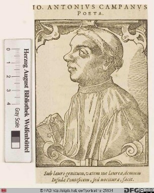 Bildnis Giovanni Antonio Campano