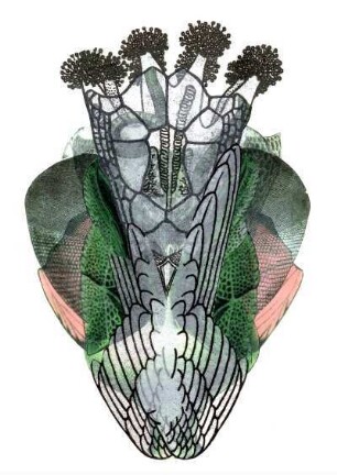 Grotesken Blatt XXXVII