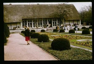 Tiergarten 22.4.79.