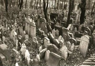 Prag (Praha-Josefov/Tschechien). Josefstadt. Alter Jüdischer Friedhof (14. Jh.) im ehem Ghetto. Teilansicht der über 12 000 Grabsteine