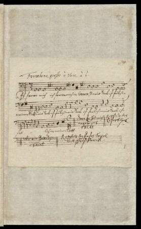 Trombone grosso è voce