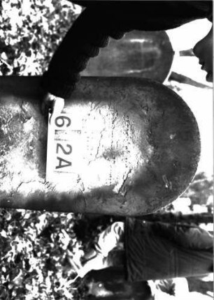 Grabstein A I/6/2A