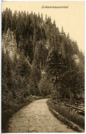 Schwarzwassertal. Im Tal