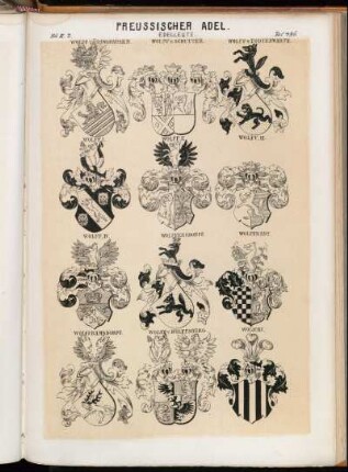 Taf. 496. Wolff- Lüdinghausen. - Wolff v. Schutter. - Wolff v. Todtenwarth. - Wolff I. - Wolff II. - Wolff III. - Wolff IV. - Wolffersdorff. - Wolffradt. - Wolfframsdorff. - Wolff v. Wolffsburg. - Wolicki