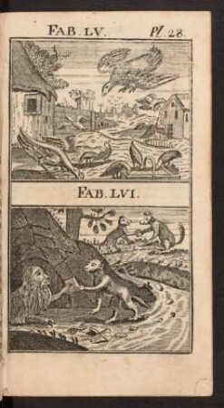 Pl. 28. Fab. LV. Fab. LVI.