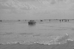 St. Peter-Ording, Böhl: Hochflut überschwemmt Parkplatz, Autos im Wasser