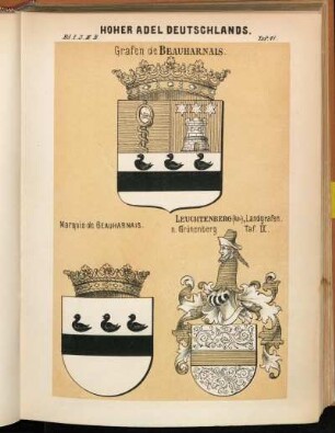 Taf. 41. Grafen de Beauharnais. - Marquis de Beauharnais. - Leuchtenberg (Alt-), Landgrafen. n. Grünenberg