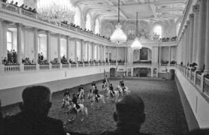 Wien: Spanische Reitschule, Training in der Reithalle