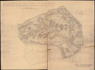 Friedhof, Gotenhafen: Vorentwurf für die Gestaltung der Gesamtanlage: Lageplan 1:1000
