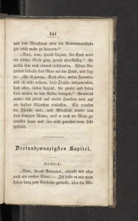 Dreiundzwanzigstes Kapitel. Rückblicke.