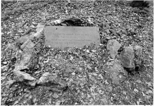 Grosser Tannenwald / Pferdegrab; Bad Homburg, Großer Tannenwald