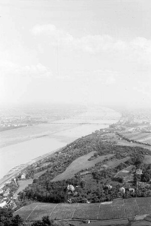 Wien: Blick über die Donau vom Kahlenberg, Leopoldsberg