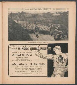 Los rebaños del ejército - [Fotografía]