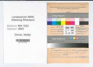Entnazifizierung Walter Domin , geb. 18.10.1894 (Jurist)