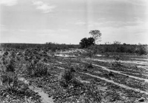 Landschaftsaufnahme : Blick über die Landschaft des Pantanals nördlich von Aquidauana.