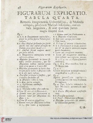 Figurarum explicatio: Tabula quarta