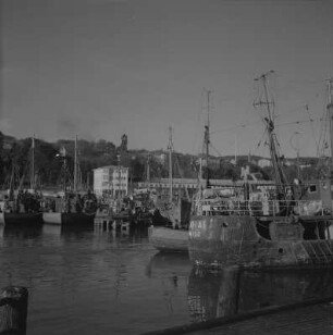 Saßnitz. Fischereihafen mit Fischerbooten