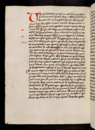 206v-230r, Sermones in adventu