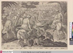 [Ostrich hunt; Straußenjagd]