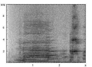 Hausesel | Equus asinus f. asinus - Lautfolge