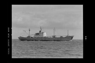 Edgar Andre (1962), VEB Deutsche Seereederei, VEB Deutfracht, VEB Deutfracht - Seereederei Rostock (DSR), Deutsche Seereederei GmbH, Rostock