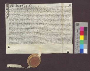 Kaufbrief des Martin Schöpfli zu Stein für Hans von Ulm, badischen Rat zu Lörrach, über einen Wald zu Steinen.