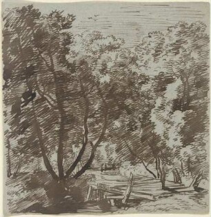 Waldweg mit Holzsteg