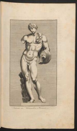 Antinous im Vaticanischen Musaeum