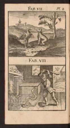 Pl. 4. Fab. VII. Fab. VIII.