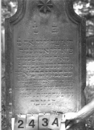 Grabstein 243 (Index: 99609879) Material: Sandstein Zustand: verwittert Maße HxBxT: 120x54x12 cm Beschreibung: Stele, geschwungener eingezogener hoher Bogenabschluß, Schriftfeld eingetieft, Sockel Symbolik: Stern: Grabstein 243A