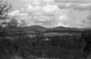 Schliengen: Blick aus dem Rheinwald auf den Kirchturm von Schliengen