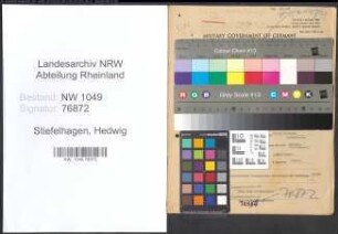 Entnazifizierung Hedwig Stiefelhagen , geb. 16.12.1900 (Lehrerin)