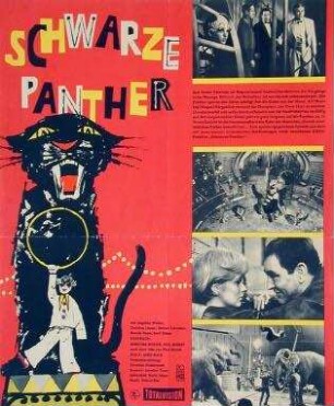 Schwarze Panther